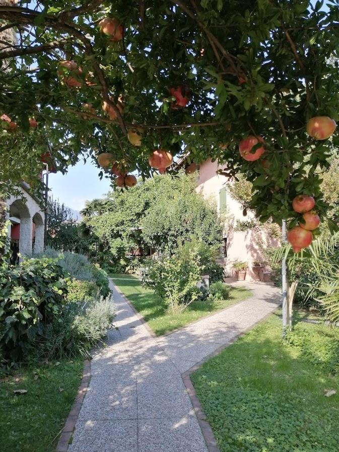 Al Rustico Hotel Torbole Sul Garda Exterior foto